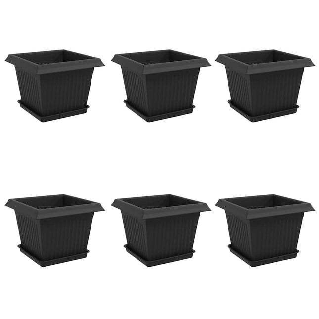 Plantepotter 6 stk. Sort Plastik