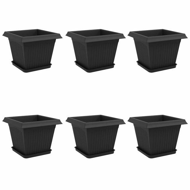 Plantepotter 6 stk. Sort Plastik