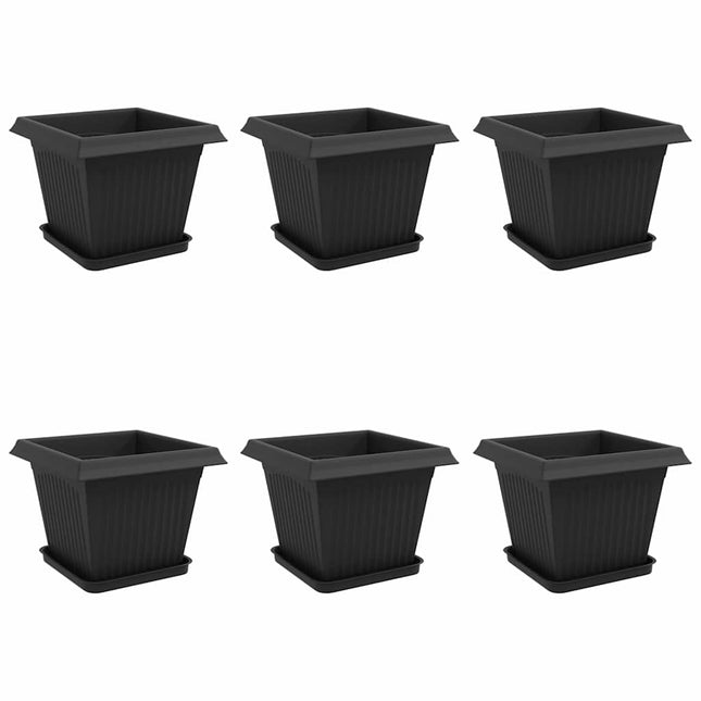 Plantepotter 6 stk. Sort Plastik