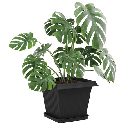 Plantepotter 6 pcs Sort 33 x 33 x 26 cm Plastik