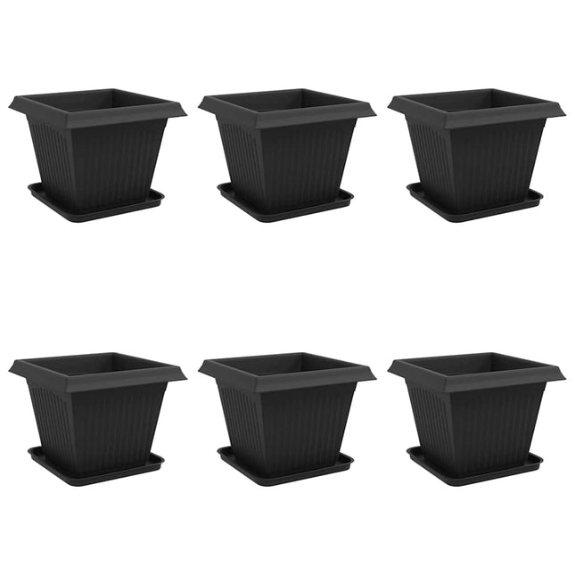 Plantepotter 6 stk. Sort Plastik