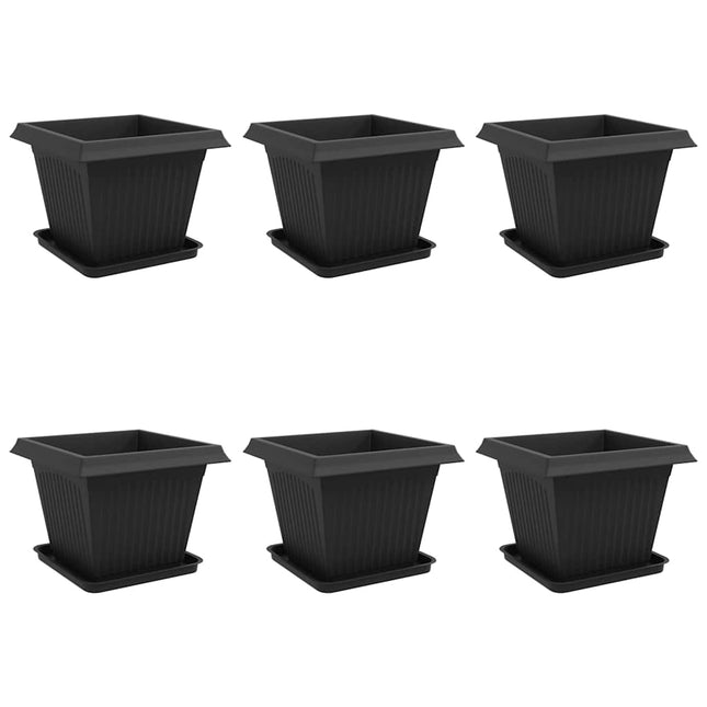 Plantepotter 6 stk. Sort Plastik