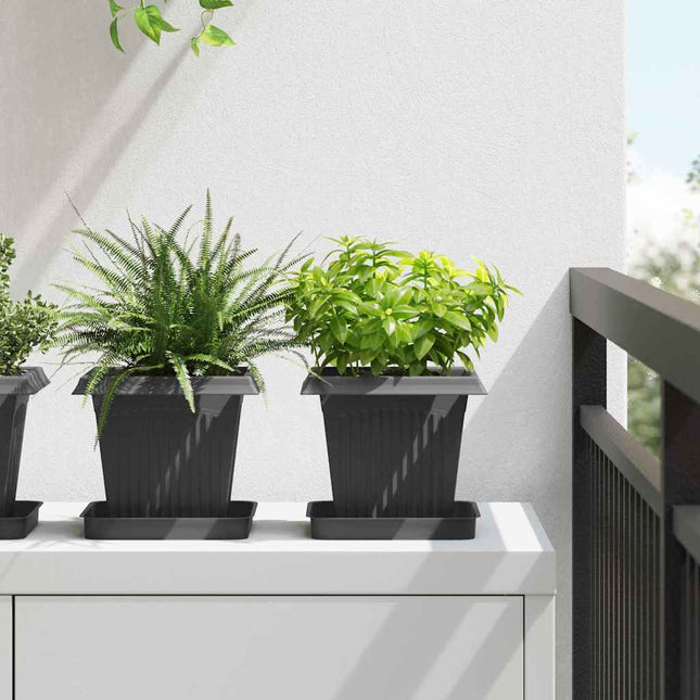 Plantepotter 24 stk. Sort Plastik