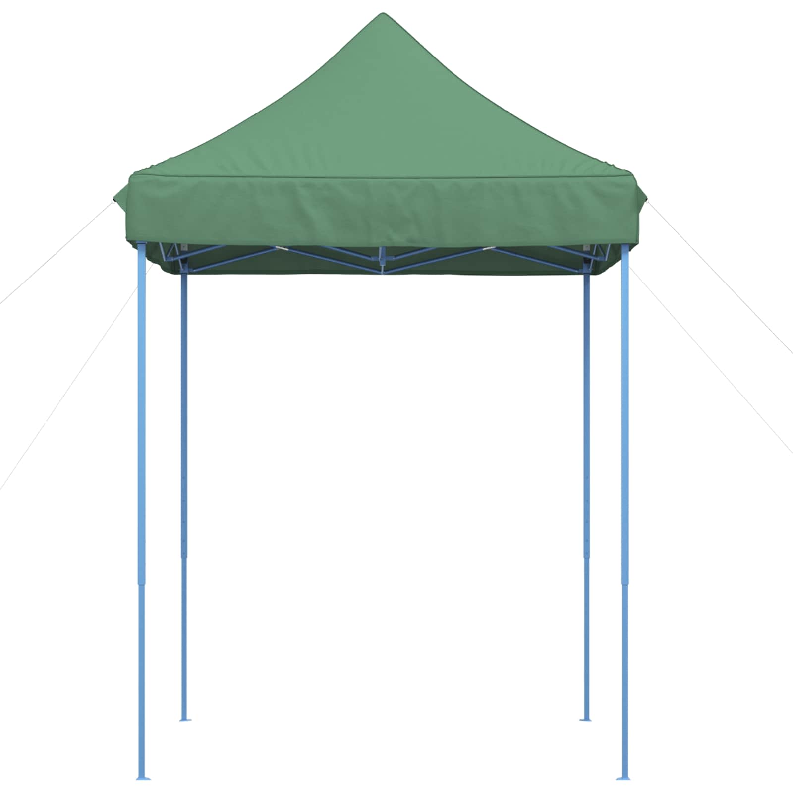 Party Tent Grøn 200 x 200 x 306 cm Oxford stof
