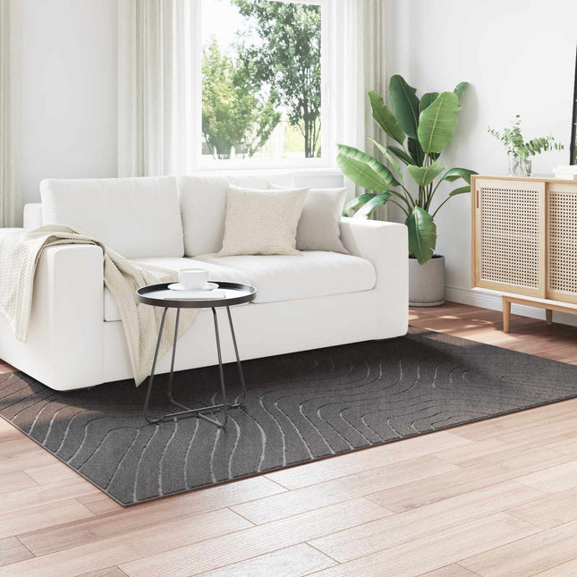 Indendørs og udendørs tæppe PALMERAS Antracit 230 x 160 cm