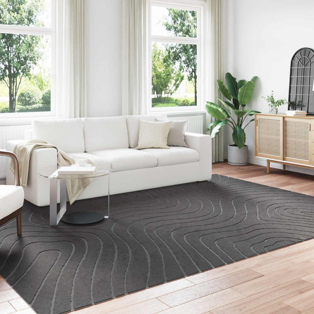 Indendørs og udendørs tæppe PALMERAS Antracit 340 x 240 cm