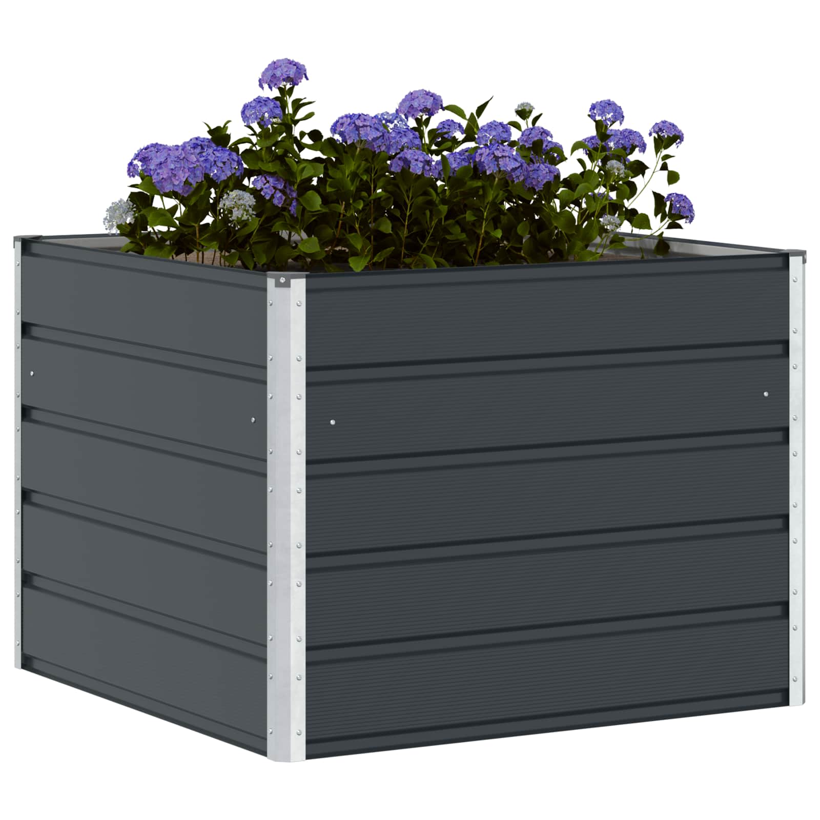 Plantekasse Antracit 100 x 100 x 75 cm Stål