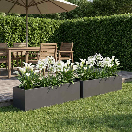 Have Blomsterkrukke 2 stk. Antracit 100 x 20 x 20 cm