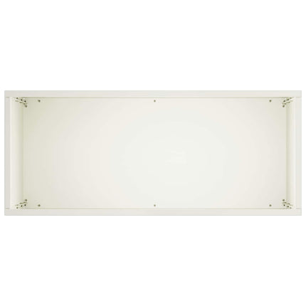Have Blomsterkrukke 2 stk. Hvid 40 x 20 x 75 cm Koldvalset stål