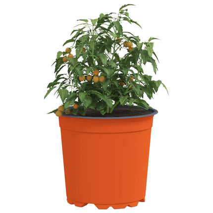 Rund Blomsterpotte 100 stk. Terrakotta Ø 15 x 13 cm Plastik
