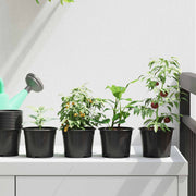 Blomsterpotte 50 pcs Sort Ø 15 x 12,5 cm Plastik