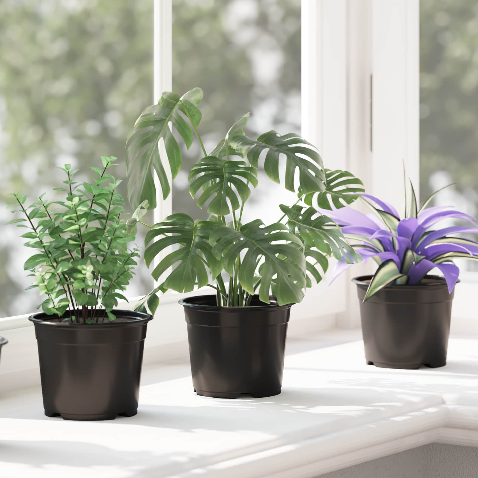 Blomsterpotte 50 pcs Sort Ø 15 x 12,5 cm Plastik