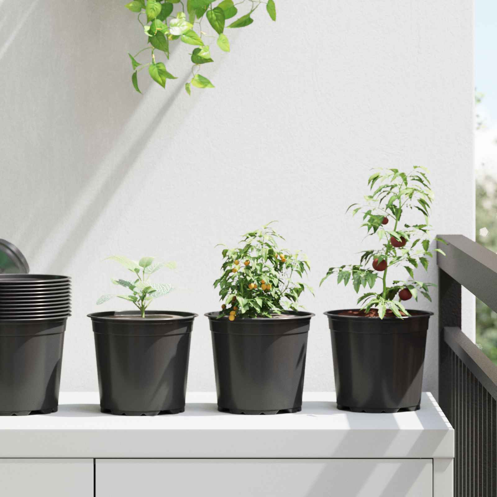 Blomsterpotte 200 pcs Sort Ø 15 x 13 cm Plastik billede
