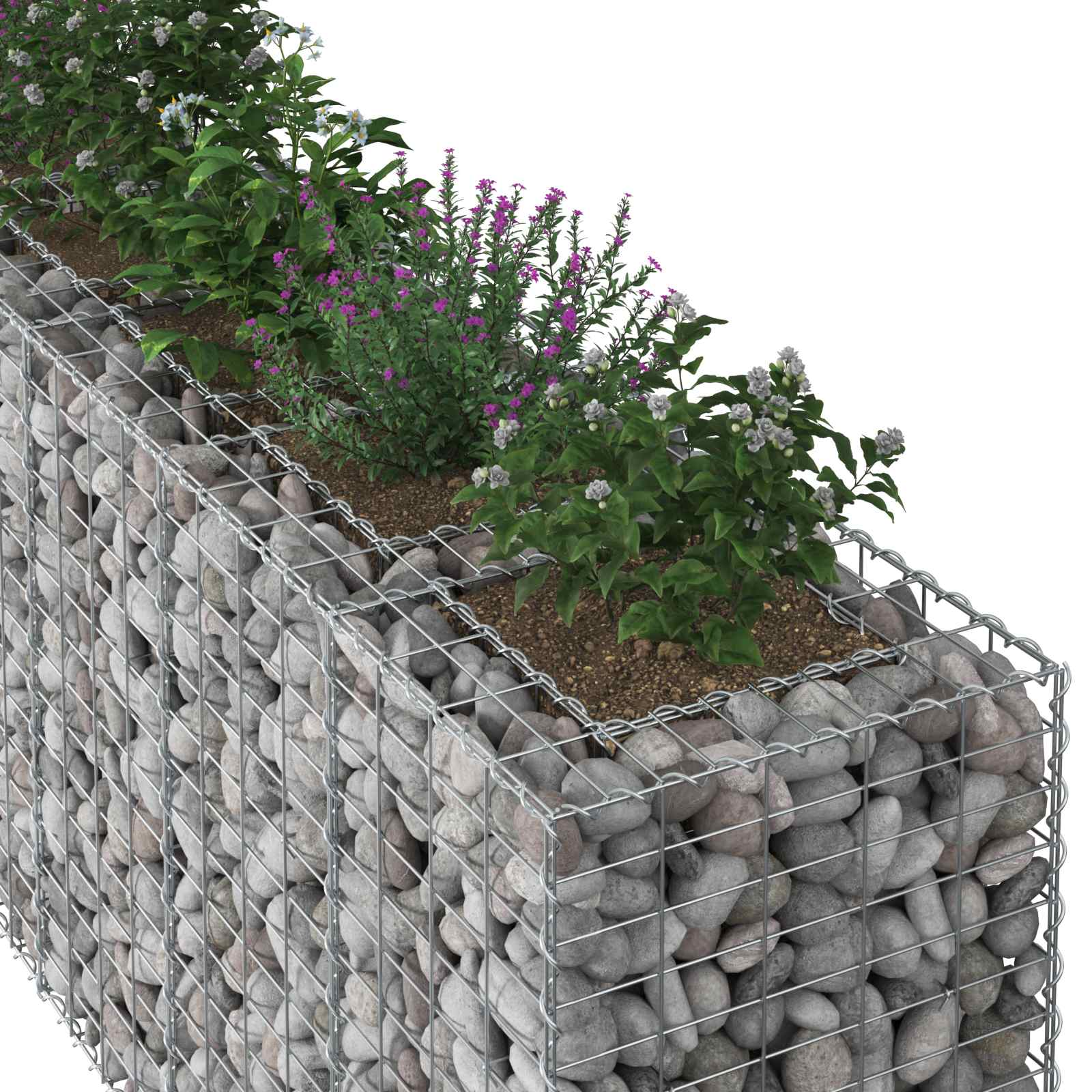Gabion højbed 2 pcs Sølv 250 x 50 x 80 cm Galvaniseret stål
