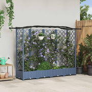 Hævet Bed med Trellis og Tag Grå 203,5 x 40 x 125 cm PP