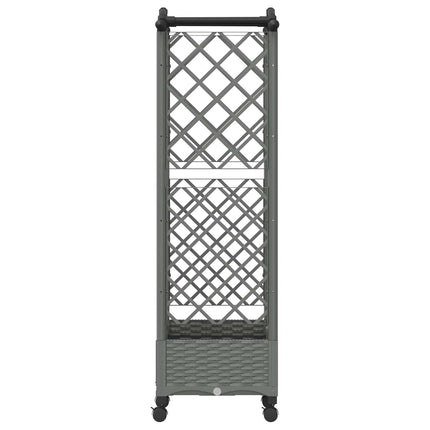 Hævet Bed med Trellis og Tag Lysegrå 124 x 40 x 129 cm PP