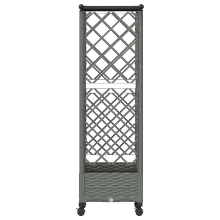 Hævet Bed med Trellis og Tag Lysegrå 124 x 40 x 127 cm PP