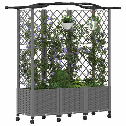 Hævet Bed med Trellis og Tag Lysegrå 163 x 40 x 144 cm PP