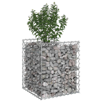 Gabion højbed 50 x 50 x 60 cm Galvaniseret stål Sølv