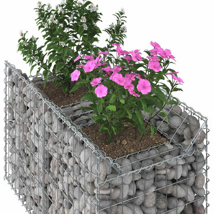 Gabion højbed 100 x 50 x 60 cm Galvaniseret stål Sølv