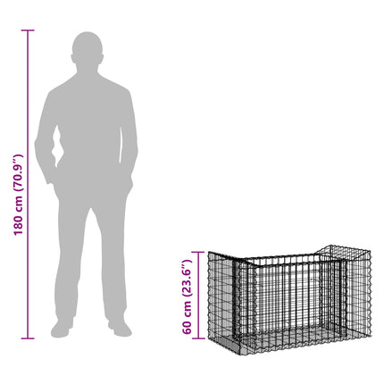 Gabion højbed 50 x 100 x 60 cm Galvaniseret stål Sølv
