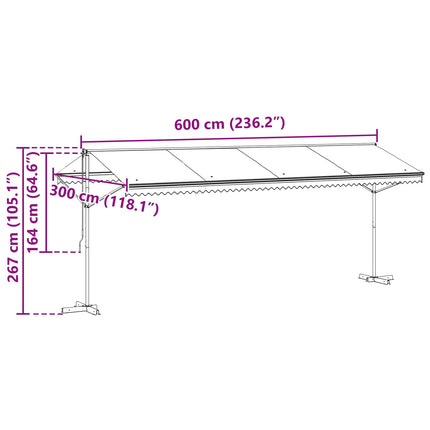 Fritstående markise 6 x 3 m Polyester Grå