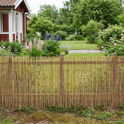 Havehegn Kulforkullet 400 x 100 cm Rør