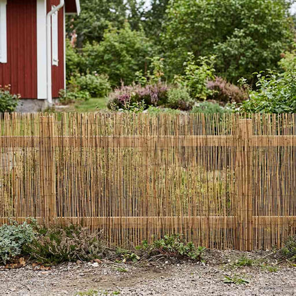 Havehegn Kulforkullet 600 x 100 cm Rør
