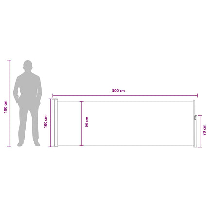 Udtrækkeligt side-markise 300 x 100 cm Polyester Rektangulær