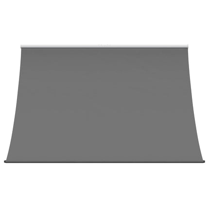 Markise Lysegrå 300 x 150 cm