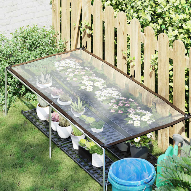 Planteovertræk Transparent 2,5 x 1 m PE