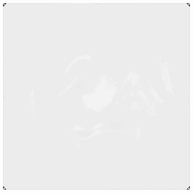 Planteovertræk Transparent 2 x 2 m PVC