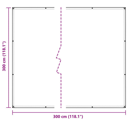 Planteovertræk Transparent 3 x 3 m PVC