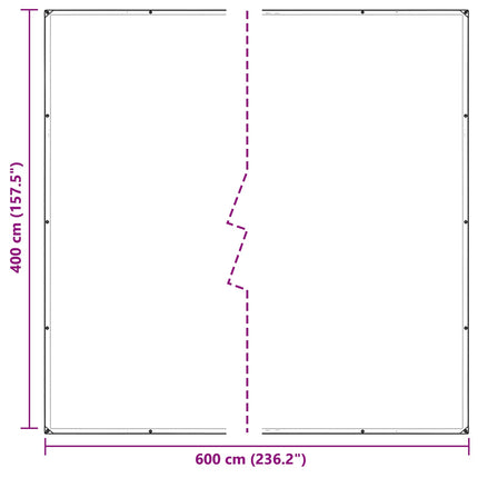 Planteovertræk Transparent 4 x 6 m PVC