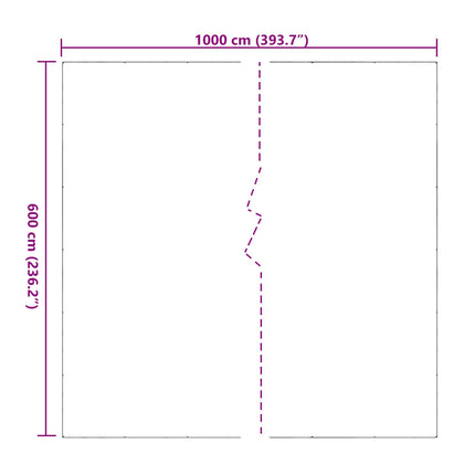 Planteovertræk Transparent 6 x 10 m PVC