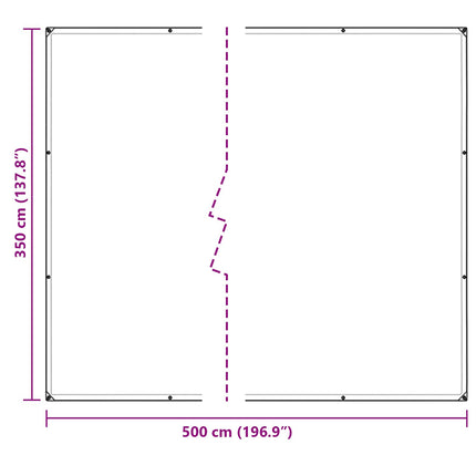 Presenning 350 gsm Transparent 5 × 3,5 m PVC