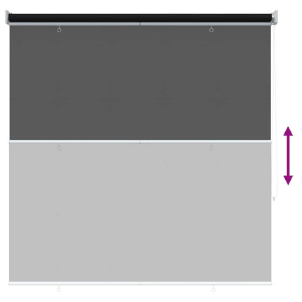 Udeterrasse Rullegardin UV Beskyttelse Sort Polyester