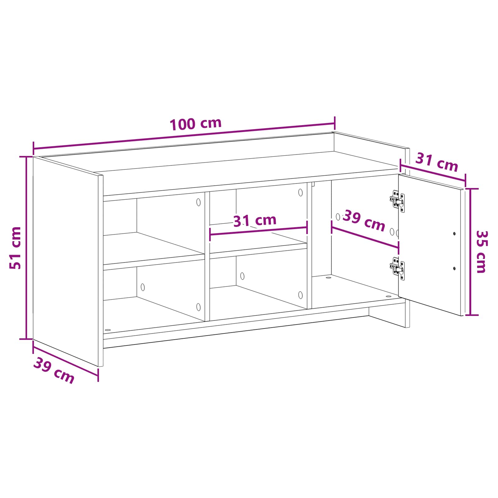 Sko skab med dør Grå Sonoma 100 x 39,5 x 51 cm Konstrueret træ