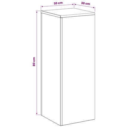 Planteholder Sølv 30 x 30 x 80 cm Stål