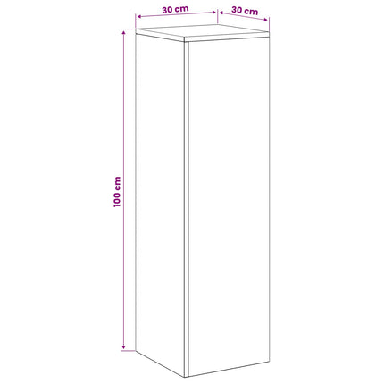 Planteholder Antracit 30 x 30 x 100 cm Rustfrit stål