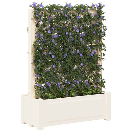 Stor krukke med trellis Hvid 99,5 x 43 x 133,5 PP