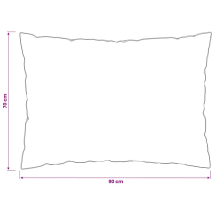 Hovedpude FULDA 2 stk. 70 x 90 cm 100% gåsefed og fjer Hvid