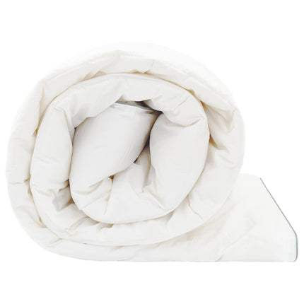 Dyne FULDA 200 x 220 cm 4 årstider 310 GSM 90% gåsedun Hvid