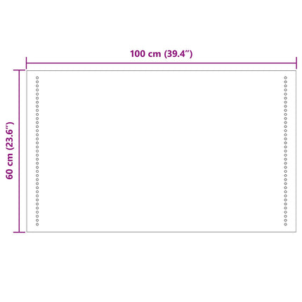 LED badeværelsesspejl Transparent 100 x 60 cm hærdet glas