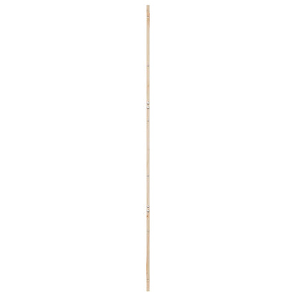 Ladedør Naturfarvet 100 x 2,5 x 208 cm Massivt fyrretræ