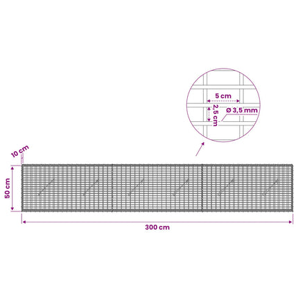 Gabion med 3,5 mm Tråd og 5x2,5 cm Maske 300x10x50 cm