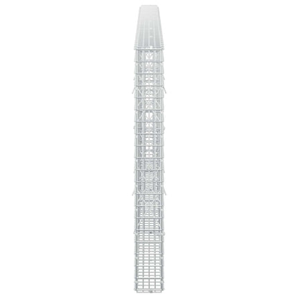 Gabion med 3,5 mm Tråd og 5x2,5 cm Maske 300x10x100 cm