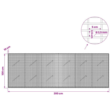Gabion med 3,5 mm Tråd og 5x2,5 cm Maske 300x10x100 cm