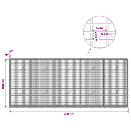 Gabion med 3,5 mm tråd og 5x2,5 cm net 250x20x100 cm