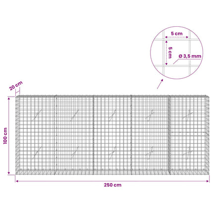 Gabion med 3,5 mm Tråd og 5x5 cm Maske 250x20x100 cm